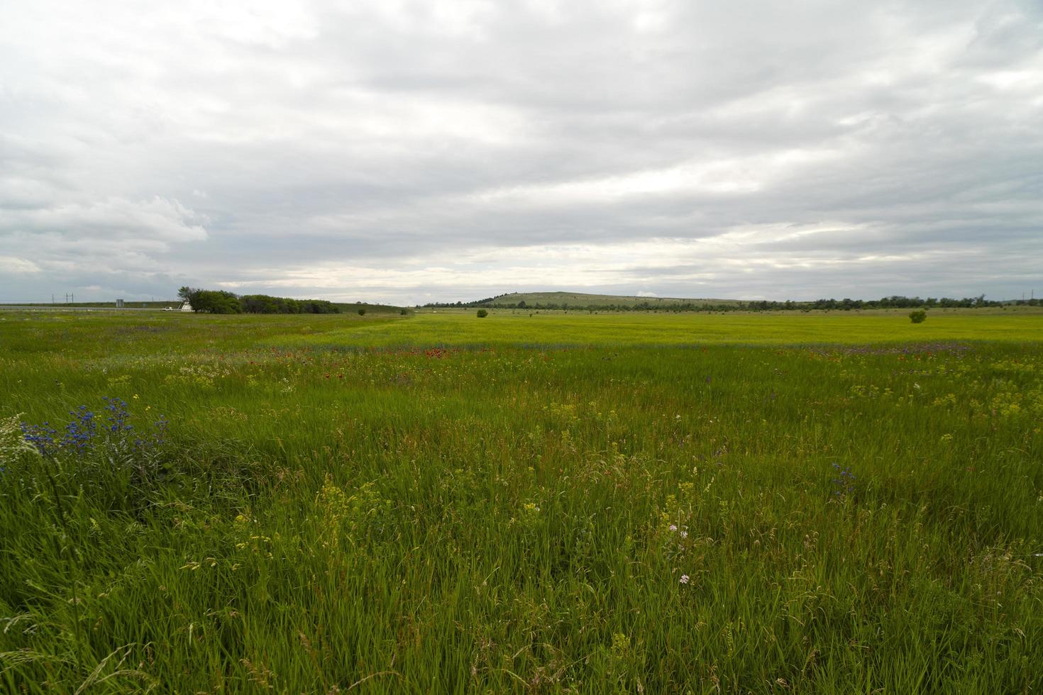 natuurlijk landschap met een groen veld onder een blauwe lucht foto