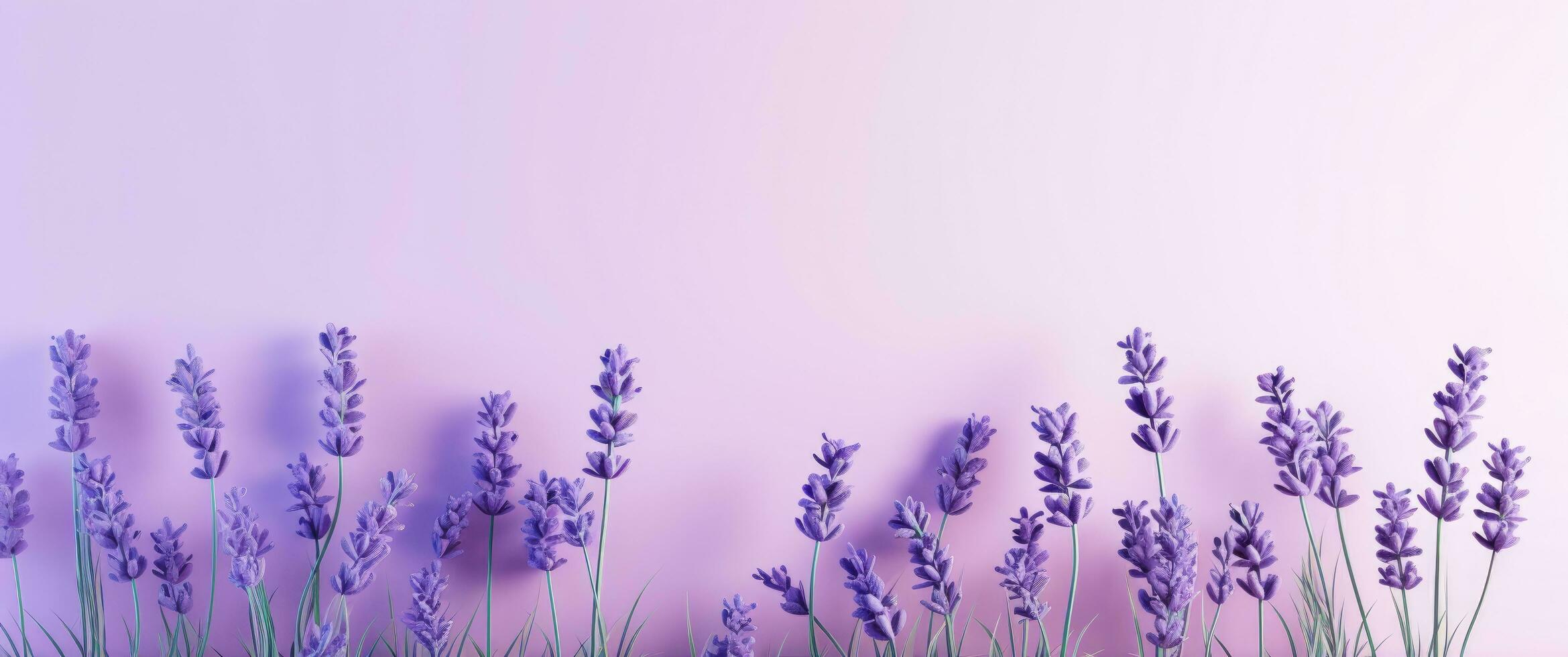 ai gegenereerd bloemen Aan lavendel achtergrond, foto