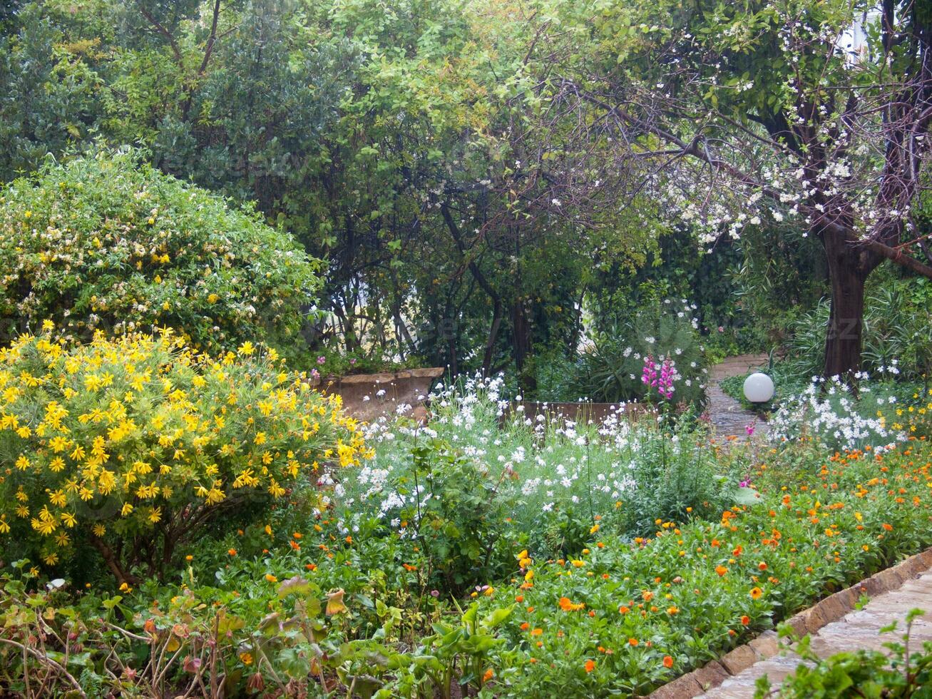 een tuin met veel bloemen en bomen foto