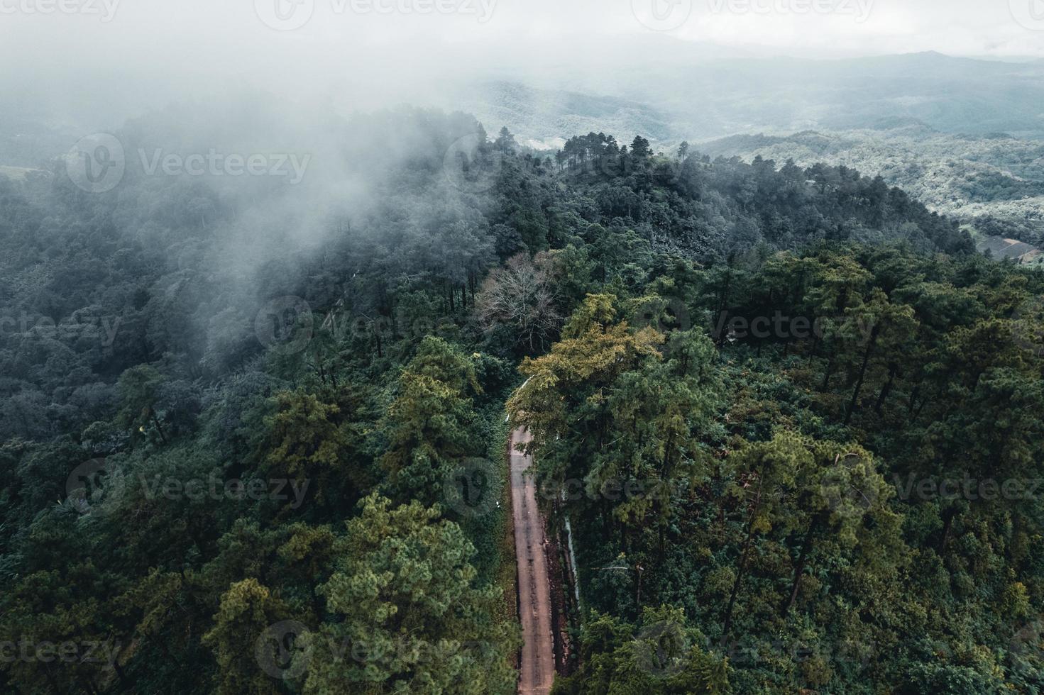 bergen en groene bomen gedurende de dag foto