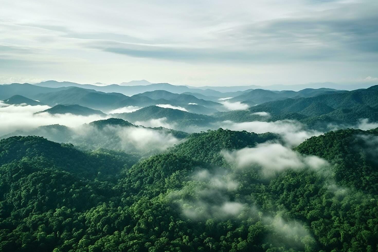 ai gegenereerd antenne visie van donker groen Woud met nevelig wolken. de rijk natuurlijk ecosysteem van regenwoud concept van natuurlijk Woud behoud en herbebossing. foto