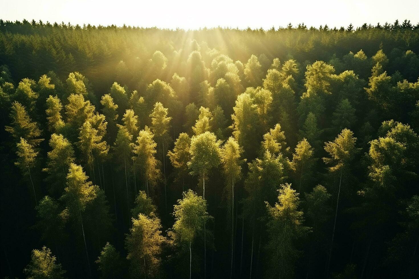 ai gegenereerd antenne top visie landelijk weg in de Woud, aarde weg of modder weg en regen Woud, antenne visie weg in natuur, ecosysteem en gezond milieu foto