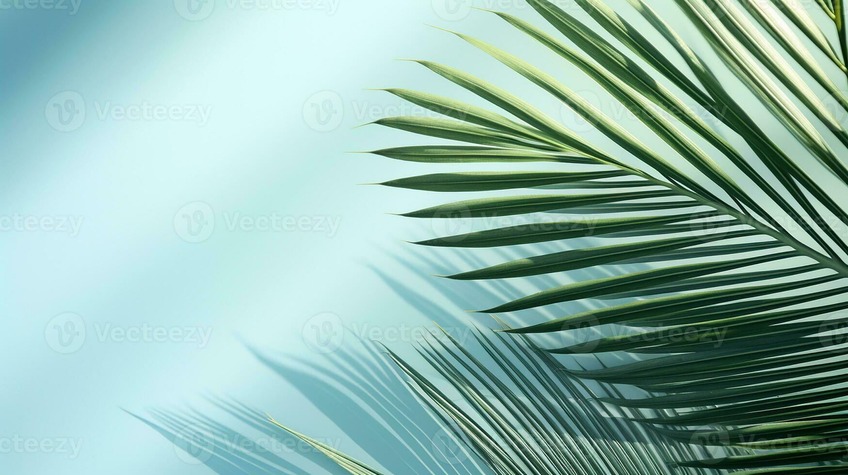 ai gegenereerd top visie van palm bladeren Aan blauw achtergrond kopiëren ruimte, tropisch palm bladeren van bovenstaand - vlak leggen foto