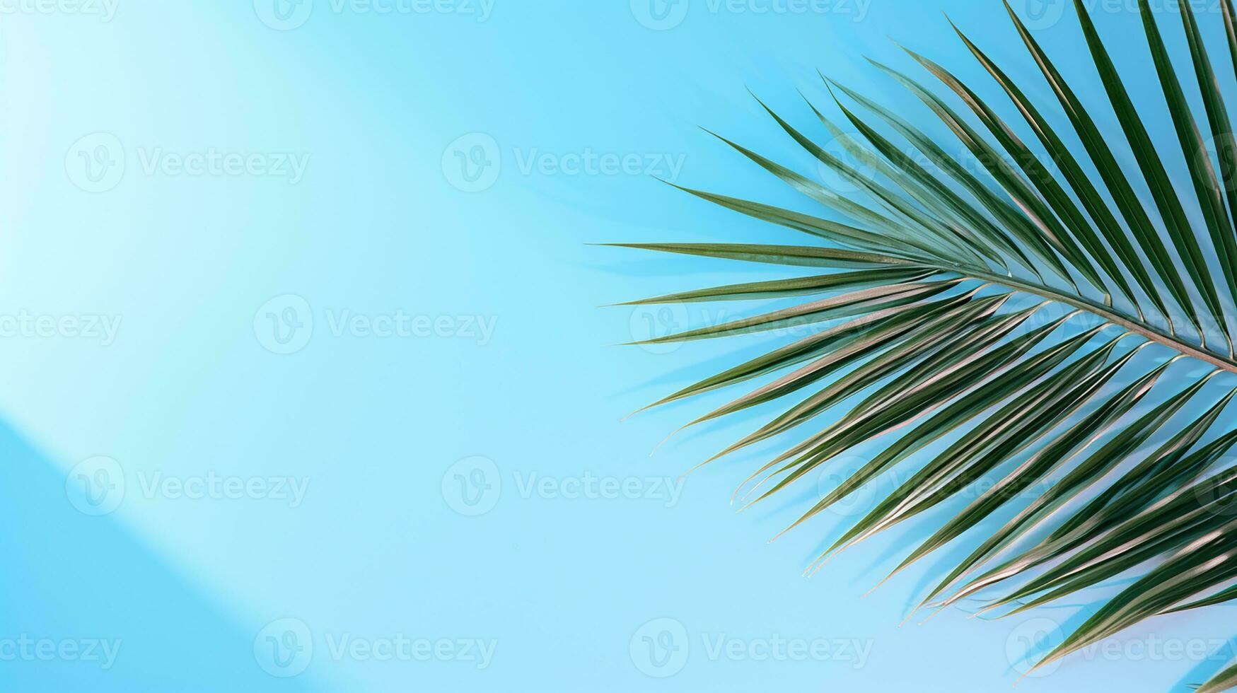 ai gegenereerd top visie van palm bladeren Aan blauw achtergrond kopiëren ruimte, tropisch palm bladeren van bovenstaand - vlak leggen foto