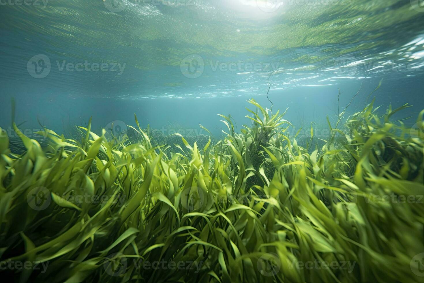 ai gegenereerd onderwater- visie van een groep van zeebedding met groen zeegras. ai gegenereerd foto