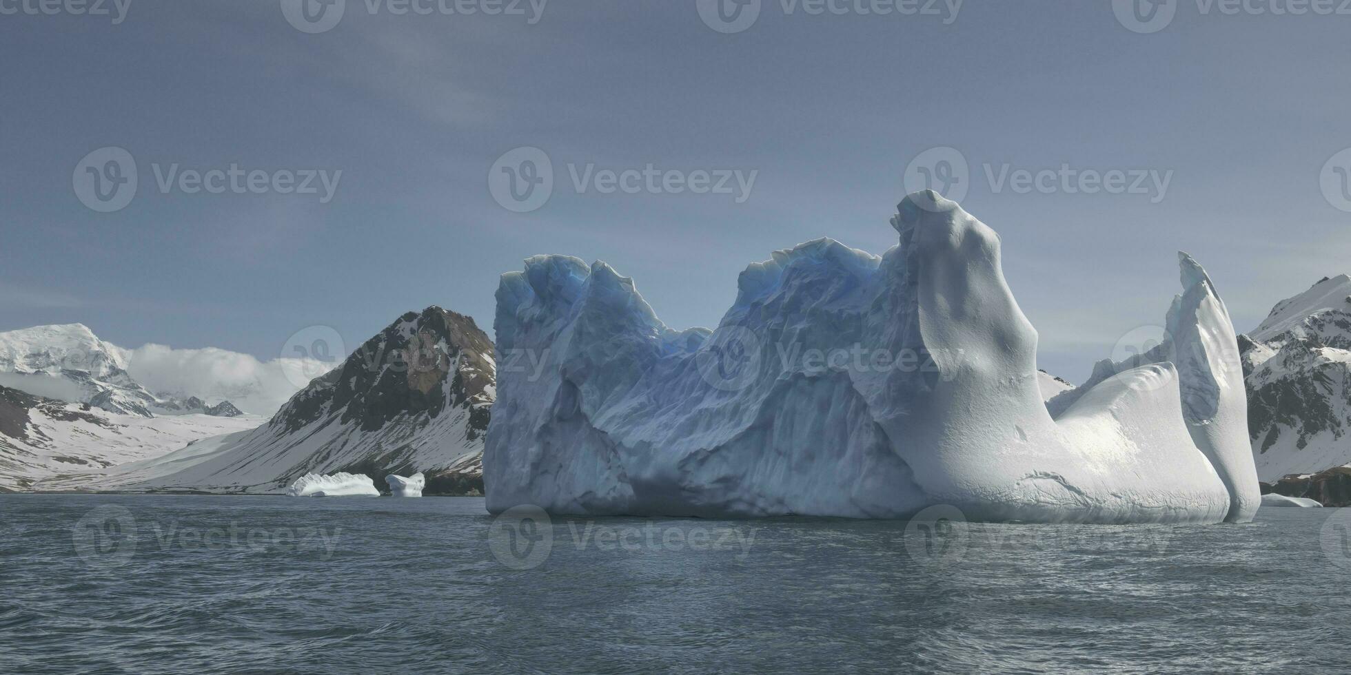 oceaan haven, drijvend ijsbergen, zuiden Georgië eiland, antarctisch foto