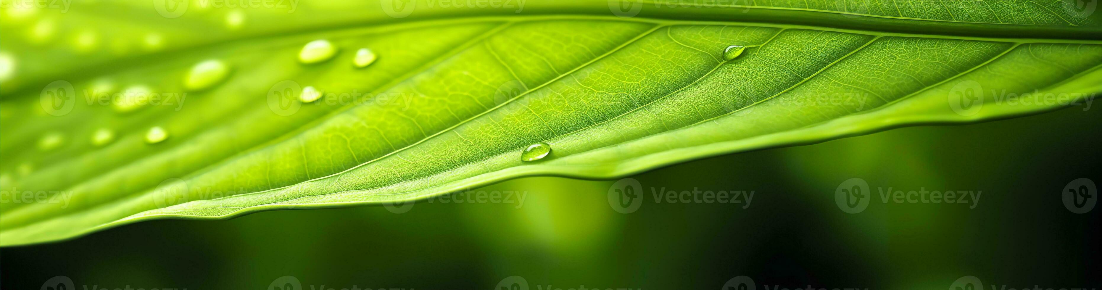 ai gegenereerd groen blad natuur achtergrond. ai gegenereerd foto