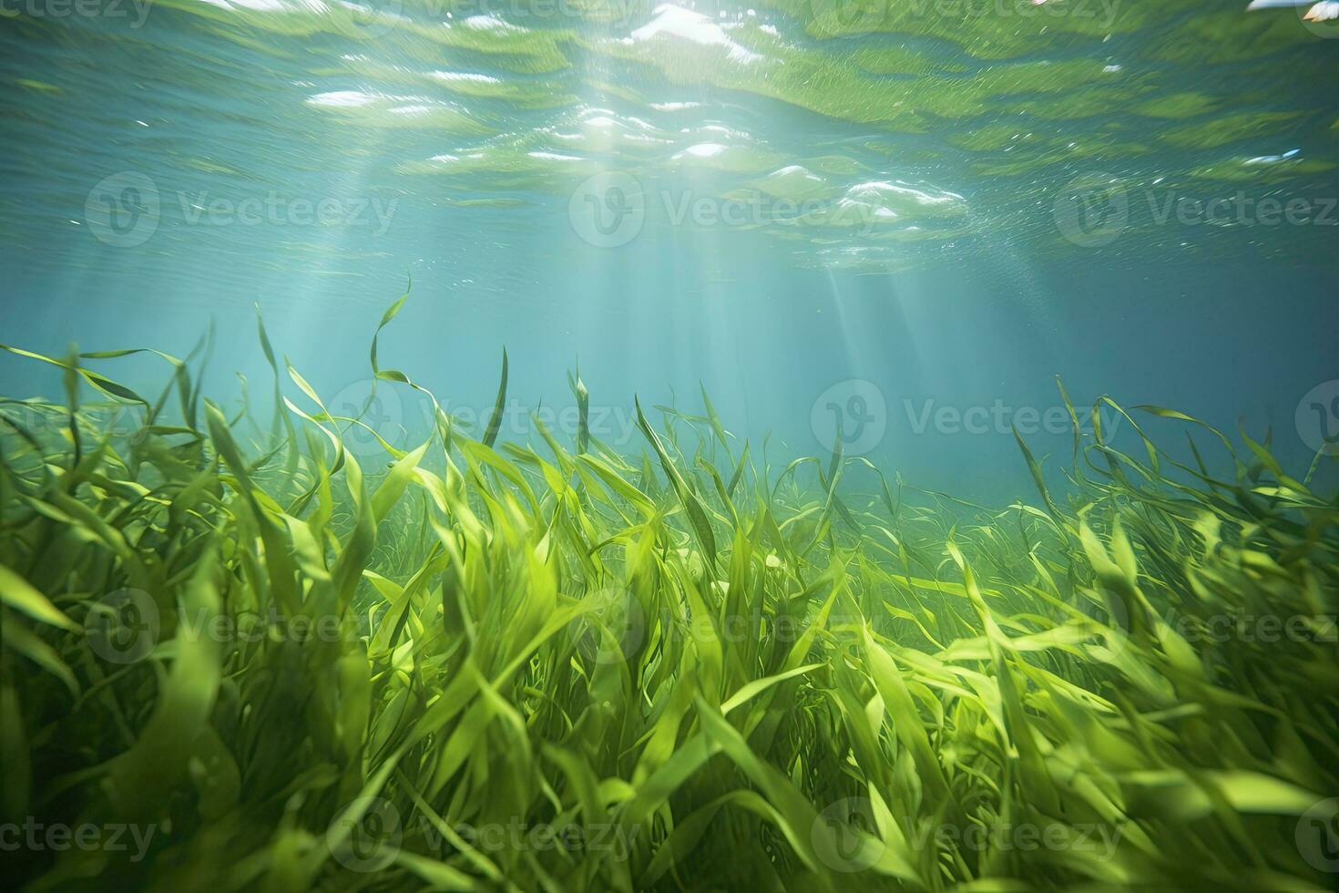 ai gegenereerd onderwater- visie van een groep van zeebedding met groen zeegras. ai gegenereerd foto