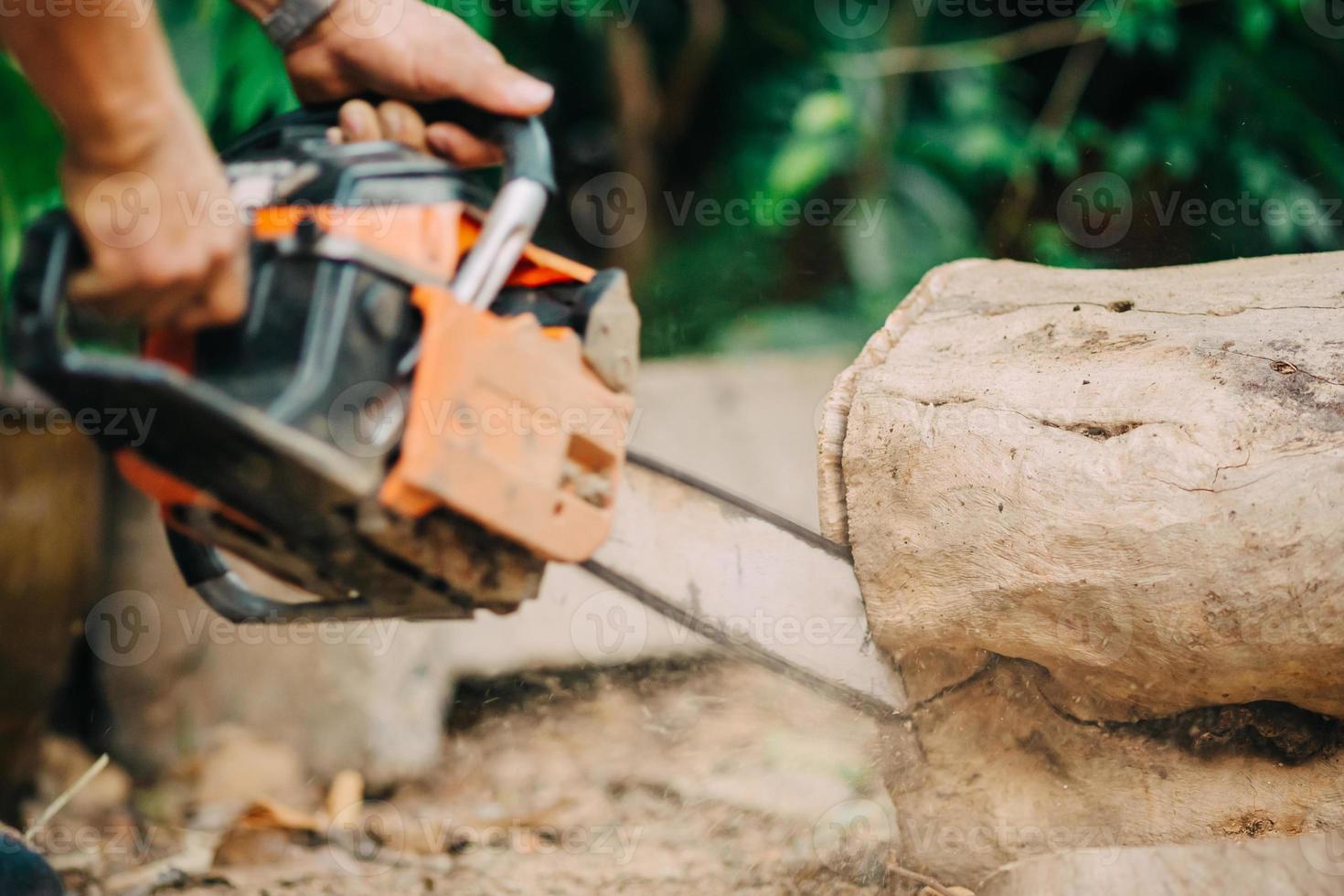 Woodman gebruikt zijn kettingzaag om de boom te hakken. Ontbossing door bomen om te hakken en te verbranden zorgt voor meer vervuiling door de opwarming van de aarde. foto