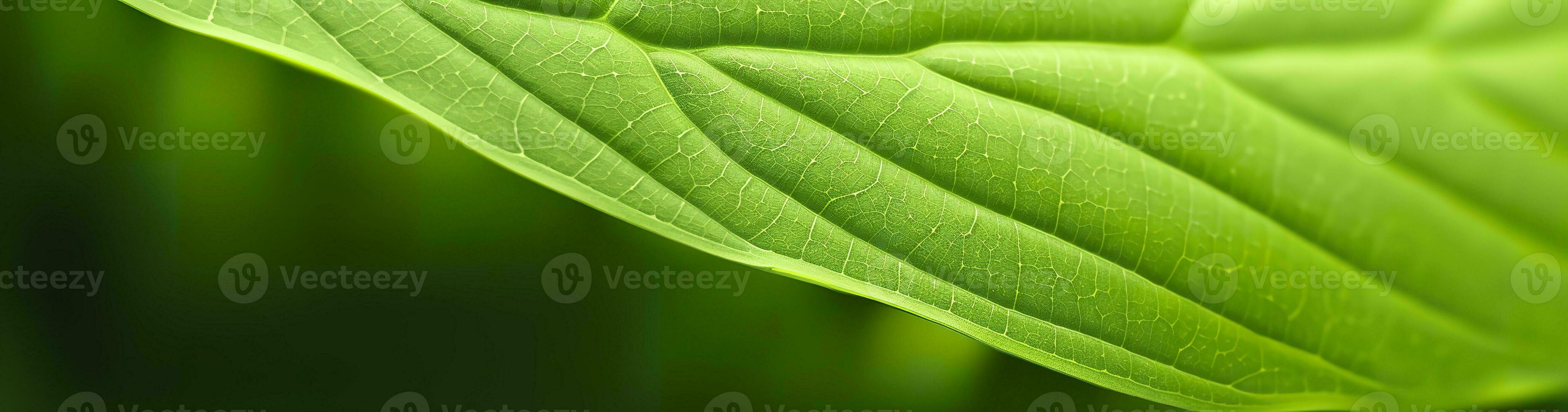 ai gegenereerd groen blad natuur achtergrond. ai gegenereerd foto