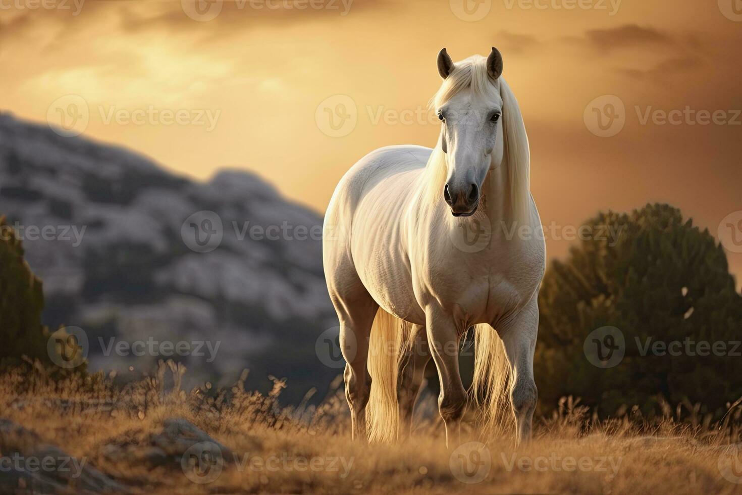 ai gegenereerd wit paard of merrie in de bergen Bij zonsondergang. ai gegenereerd foto