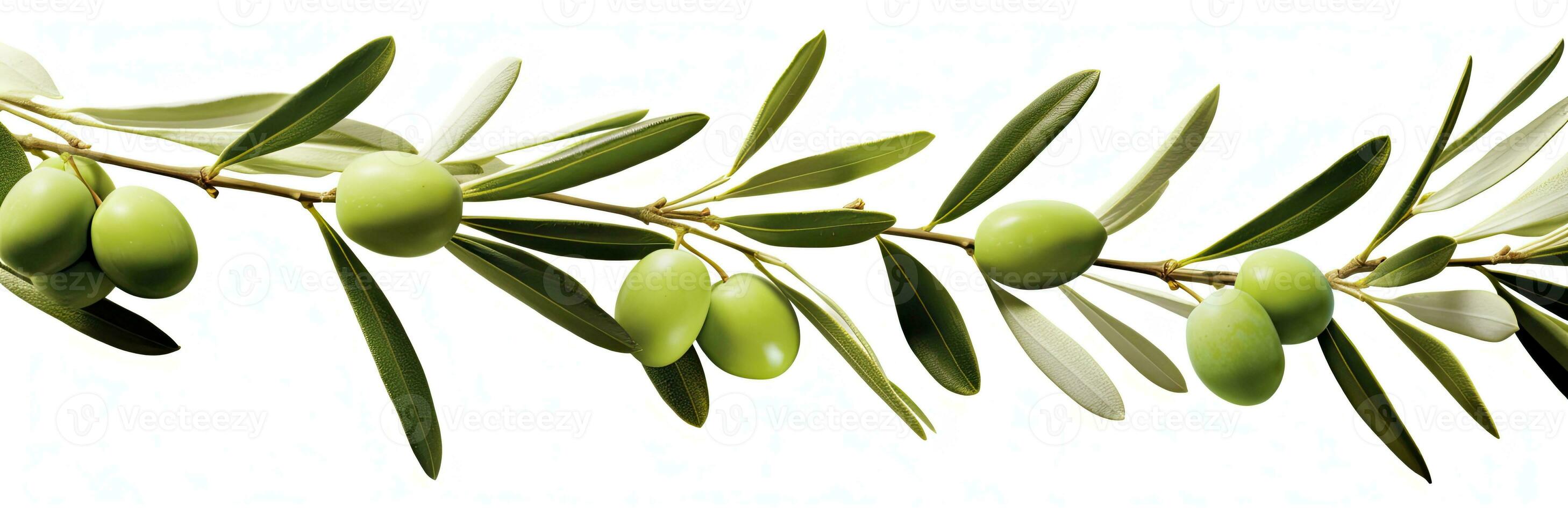 ai gegenereerd olijf- boom tak, groen olijven en bladeren Aan wit achtergrond. ai gegenereerd. foto