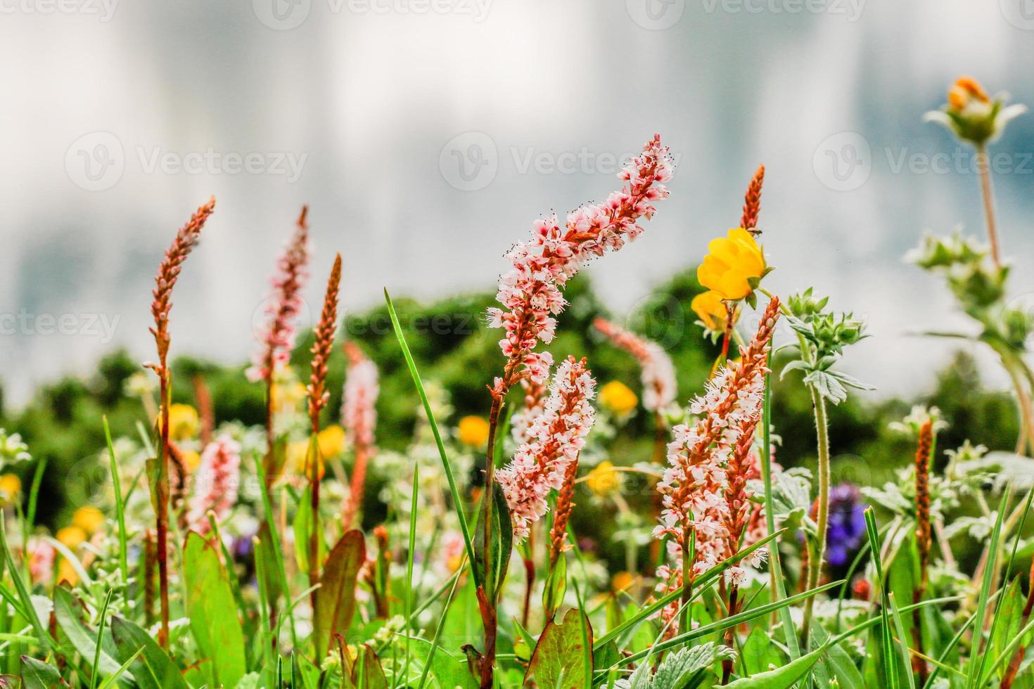 katora meer kumrat vallei prachtig landschap bergen uitzicht foto