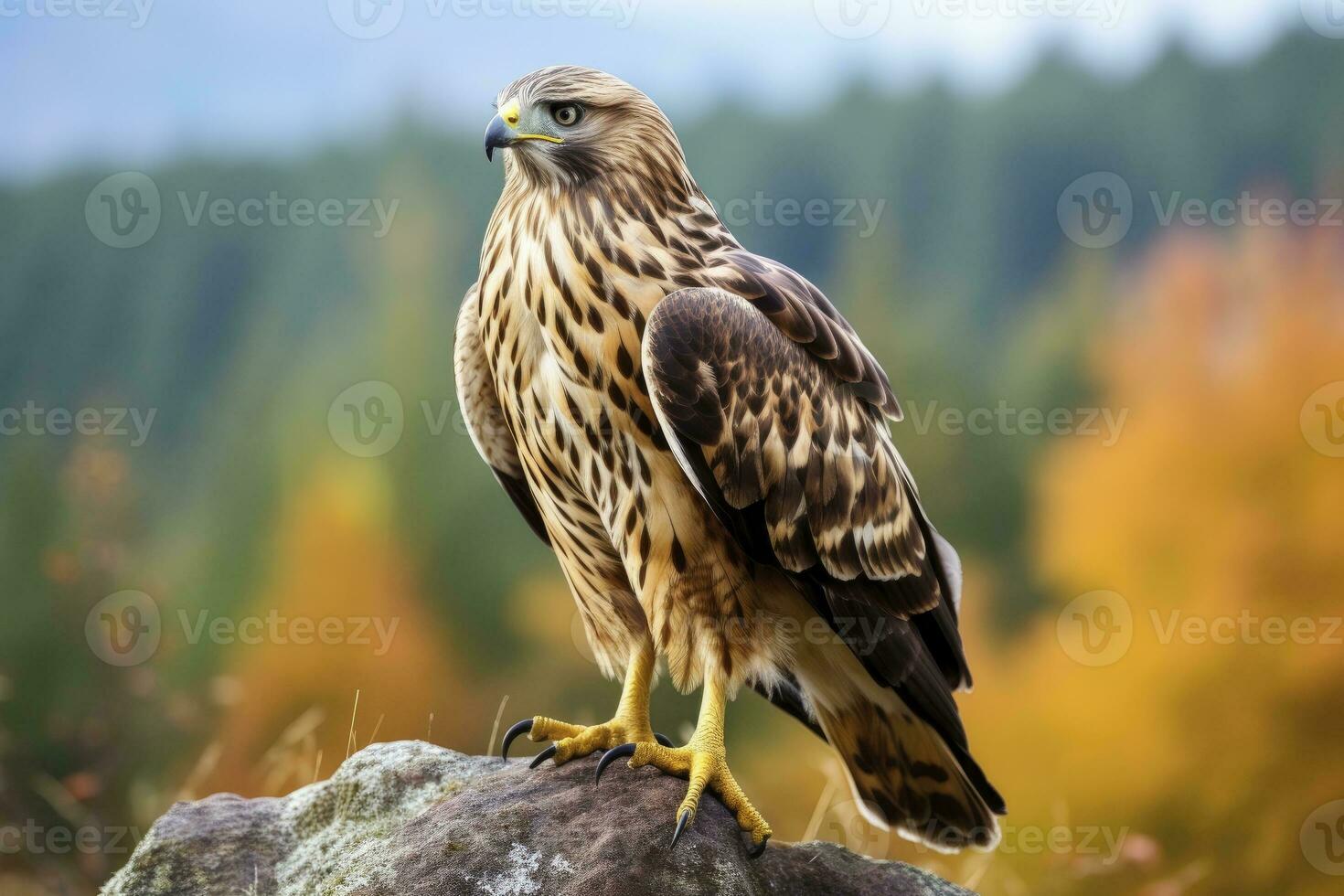 ai gegenereerd havik zittend Aan rots op zoek voor prooi. ai gegenereerd foto