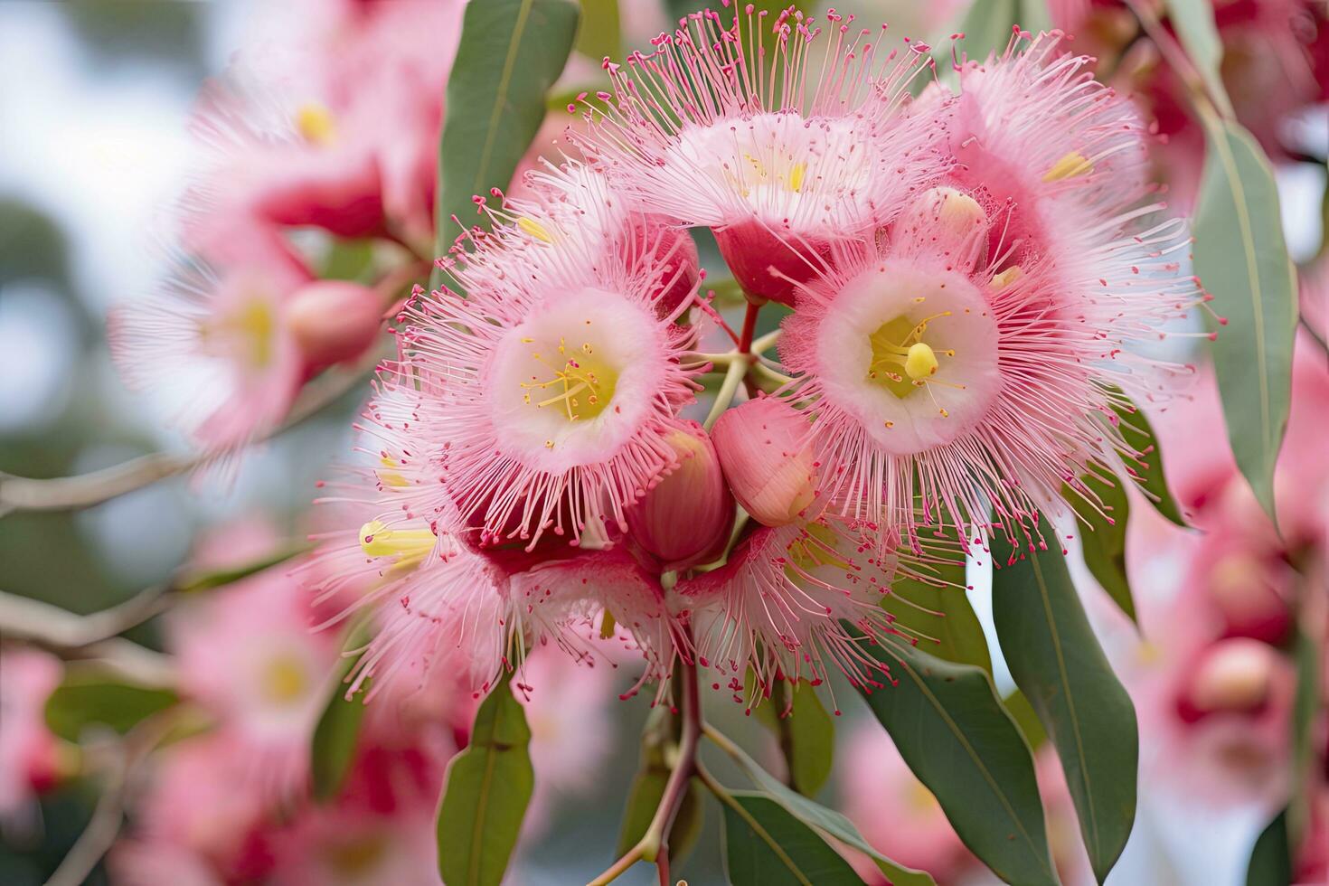 ai gegenereerd mooi gom boom roze bloemen en knoppen. ai gegenereerd foto