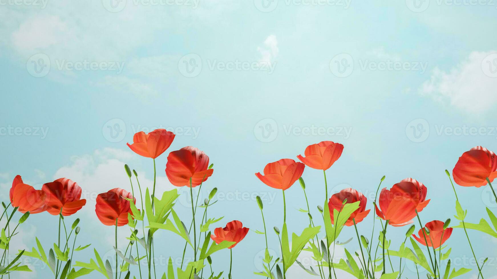 rood papaver bloemen grens transparant. bloem decoratie. foto