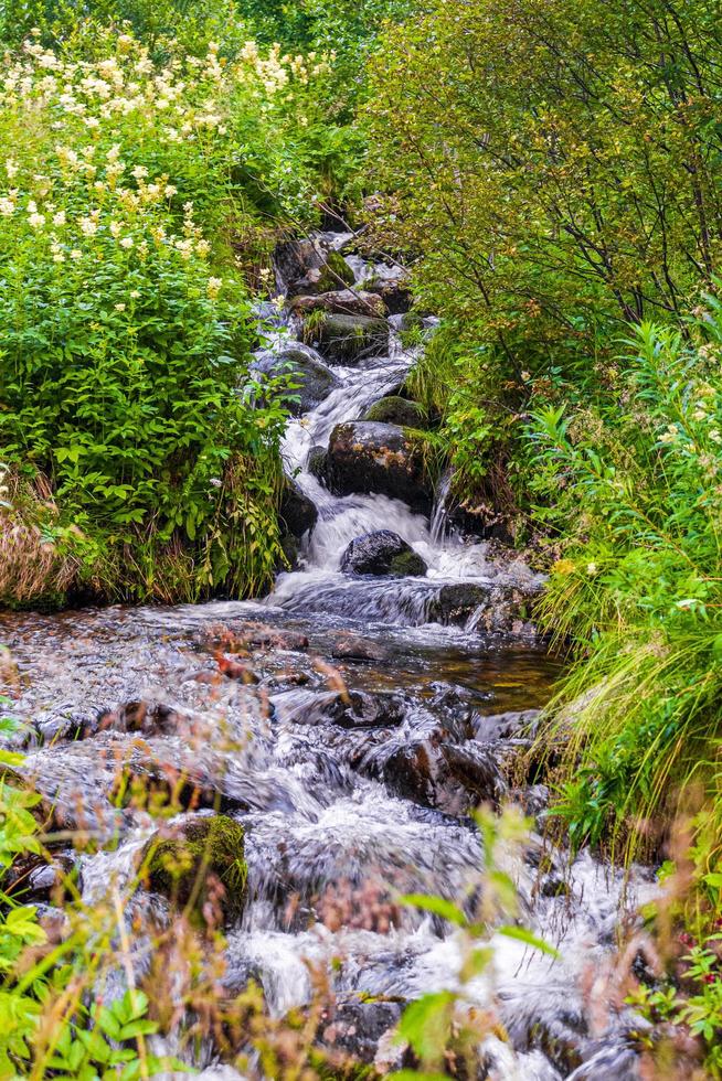 stromend water van een beekje of waterval, vang, noorwegen foto