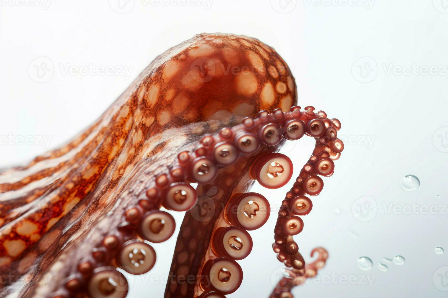 ai gegenereerd Octopus dier tentakels met sukkels rijen. genereren ai foto