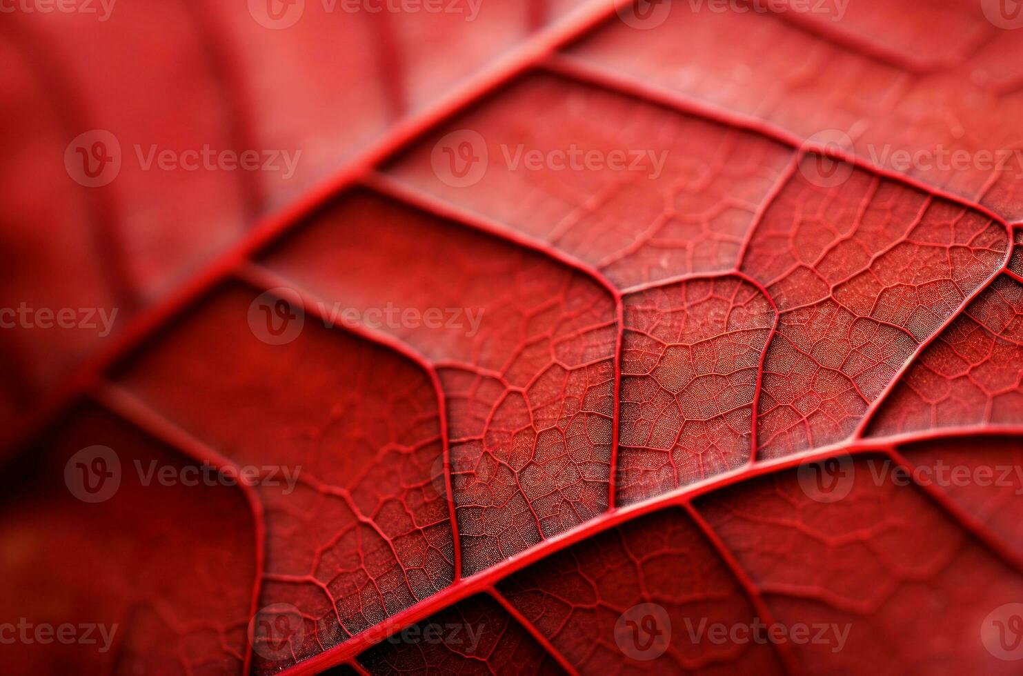 ai gegenereerd levendig macro blad rood. genereren ai foto