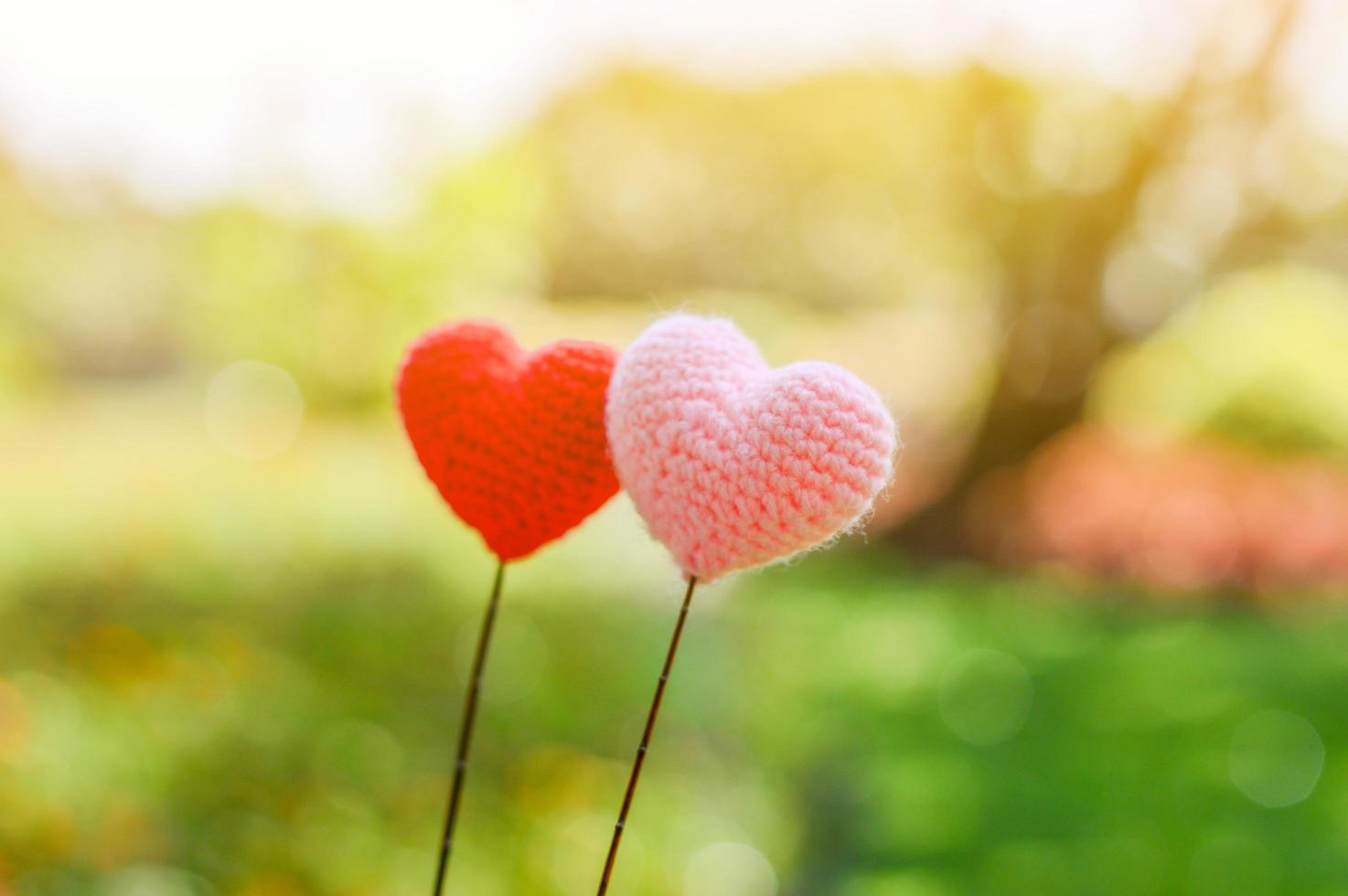 garen horen met natuur achtergrond bokeh voor Valentijnsdag foto