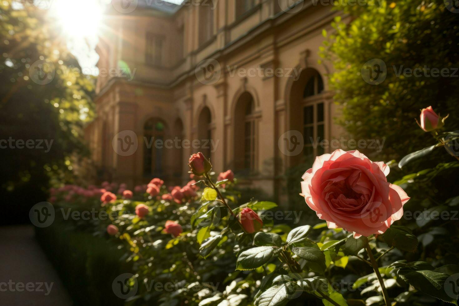 ai gegenereerd zonovergoten tuin rozen. genereren ai foto