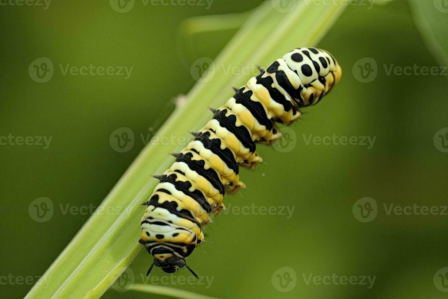 ai gegenereerd rups- zwaluwstaart vlinder. gegenereerd ai. foto