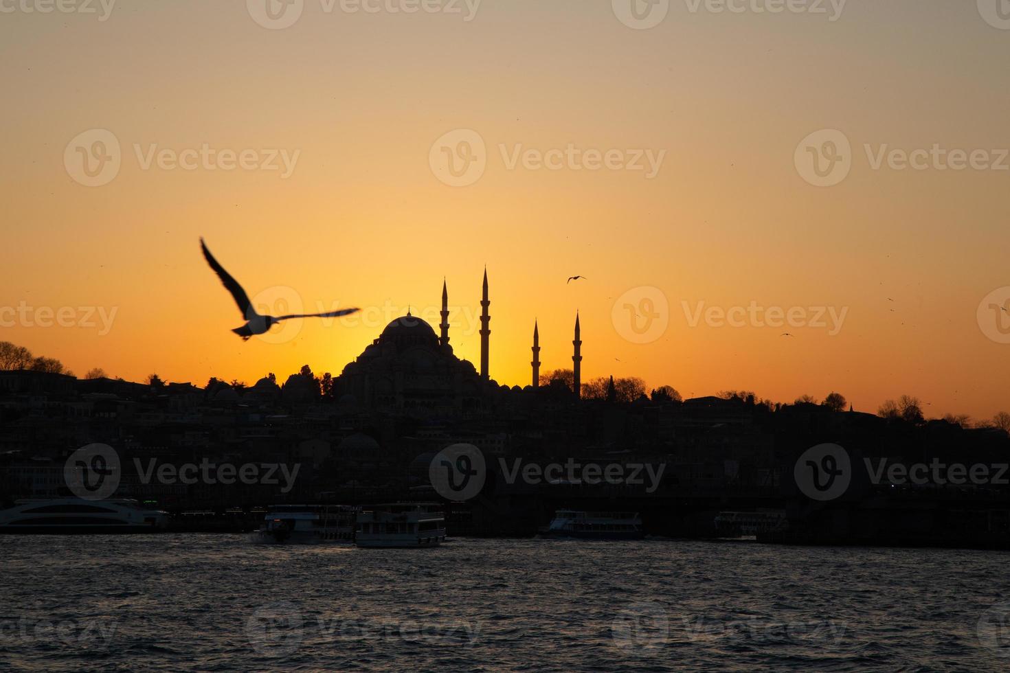 historisch istanbul silhouet foto