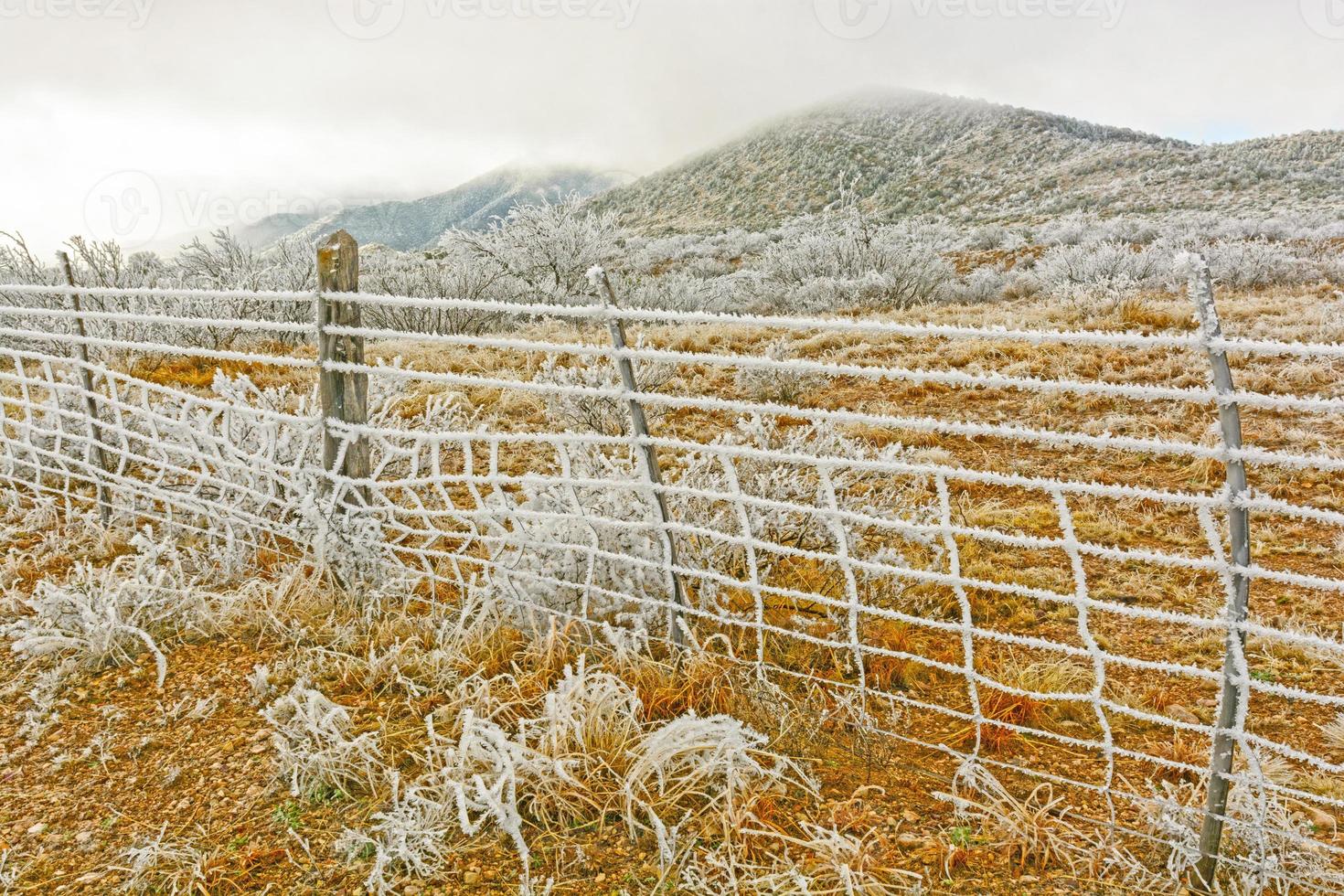 Texas woestijn in een winterse ijsstorm foto