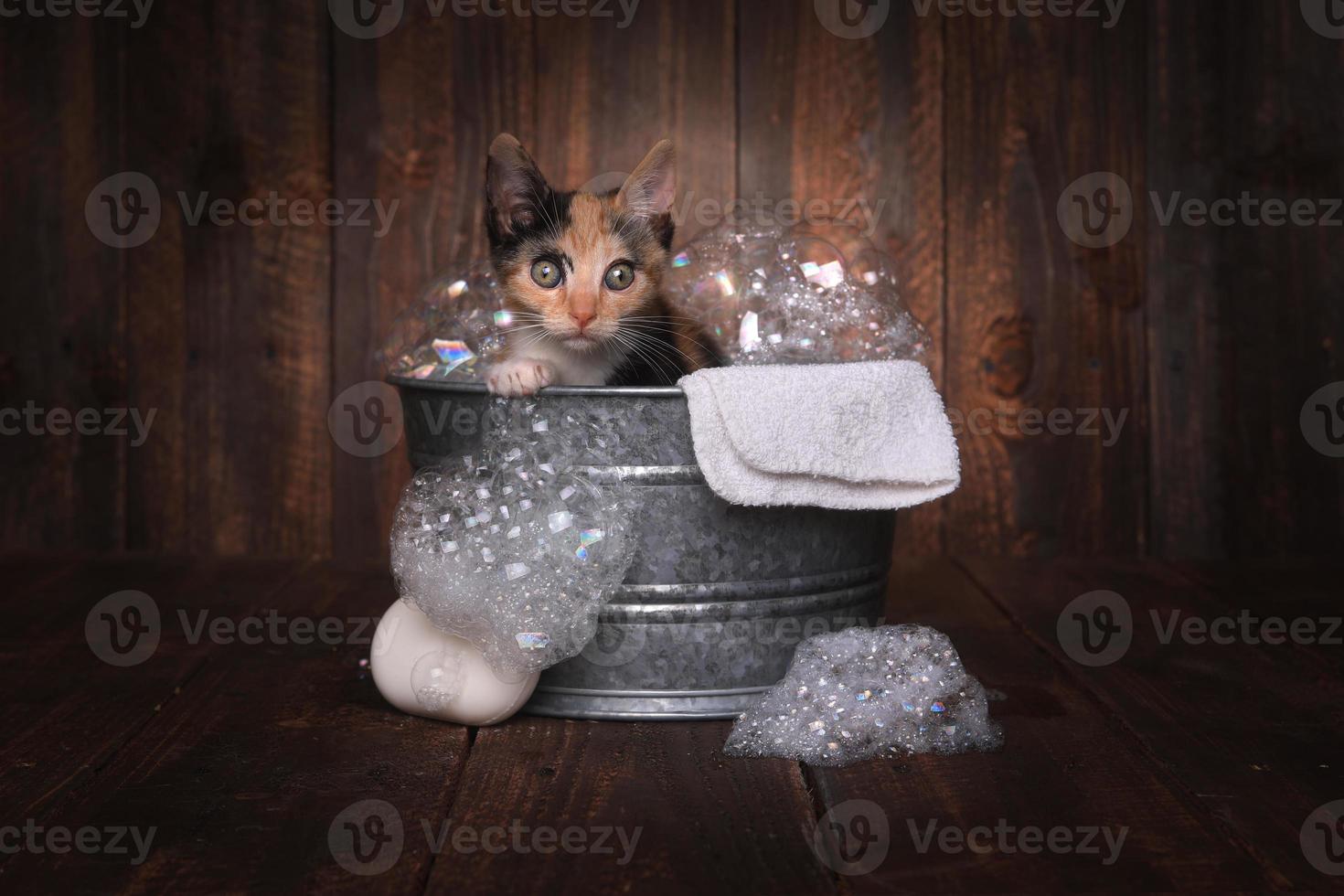 kittens in wastobbe worden verzorgd door bubbelbad foto