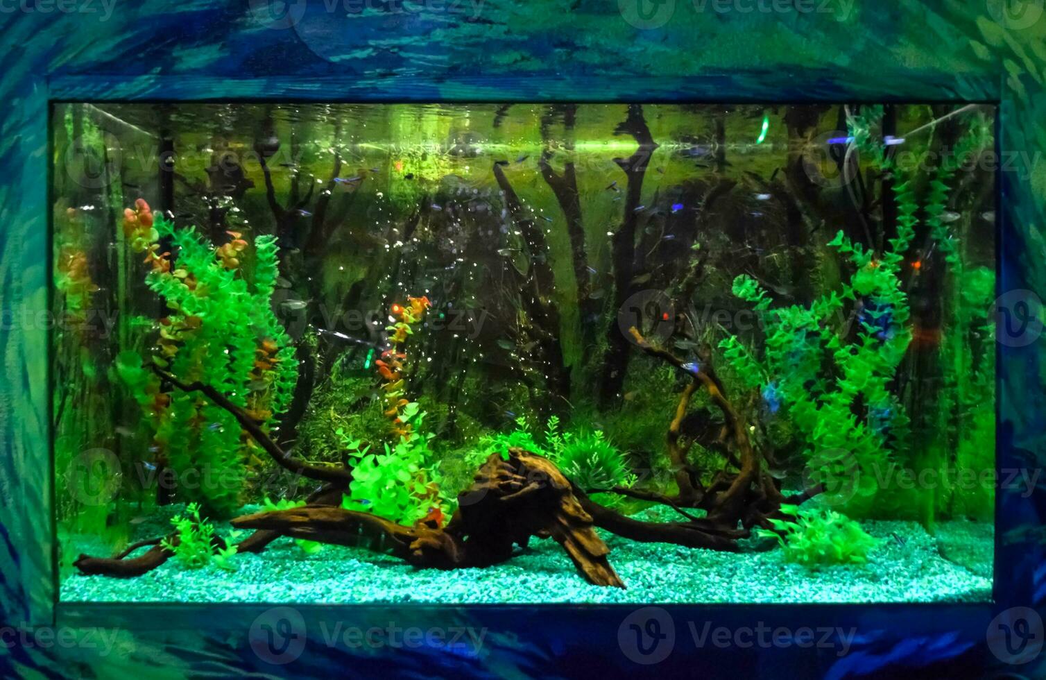 muur gemonteerd aquarium met tropisch vis foto