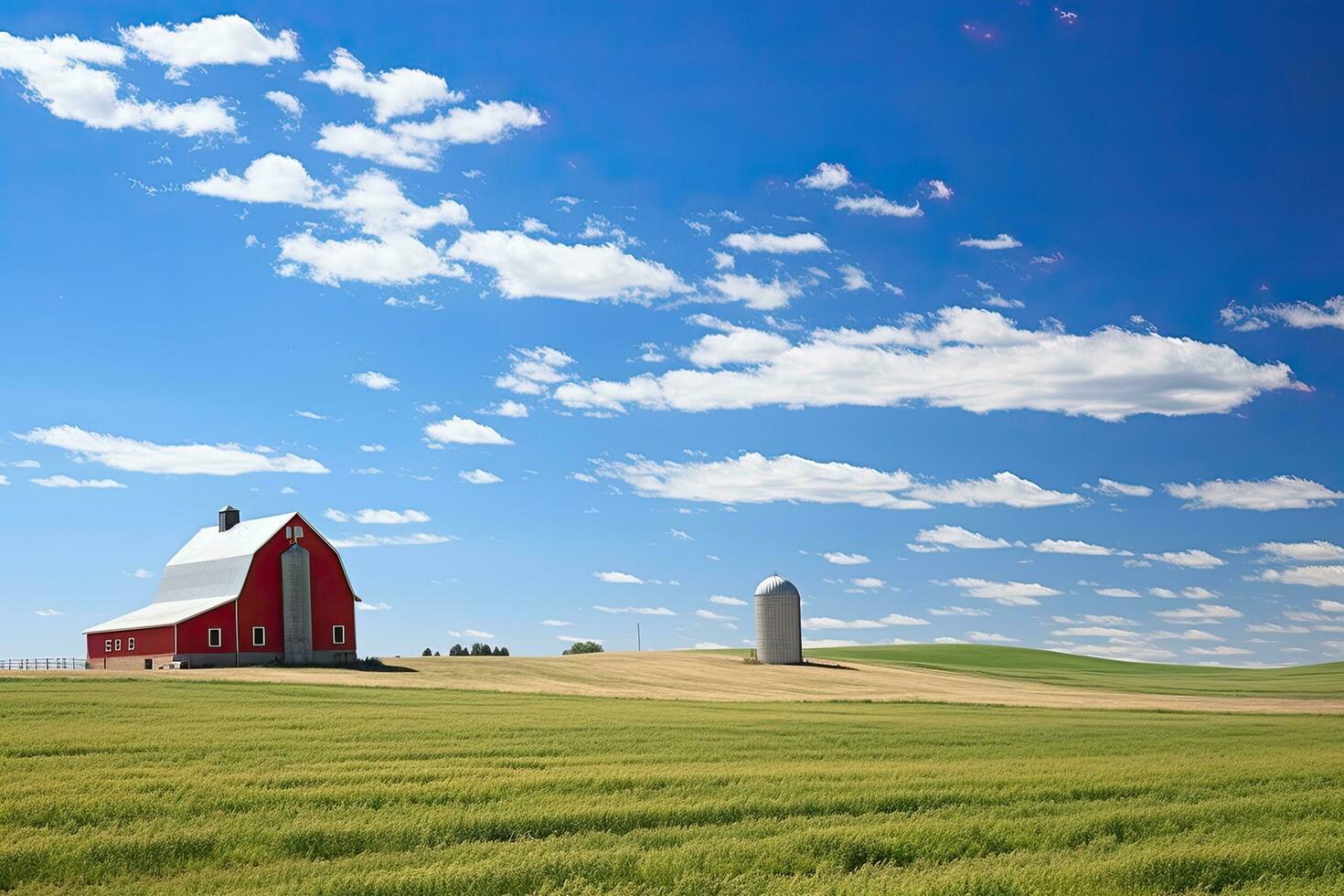 ai gegenereerd Amerikaans platteland met rood schuur in een veld- van koolzaad, ai gegenereerd foto