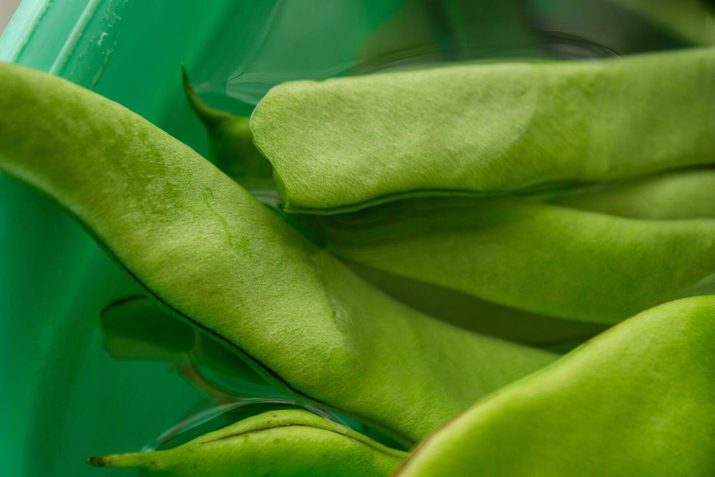 detailopname foto van groen bonen