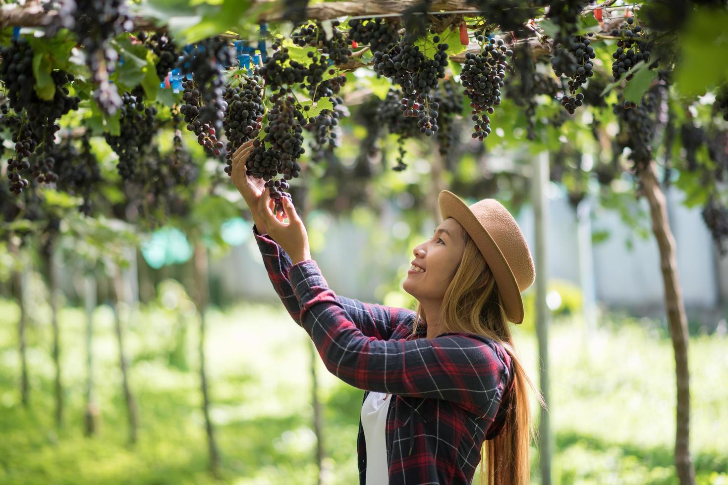 gelukkige jonge vrouwentuinman die takken van rijpe blauwe druif houdt foto