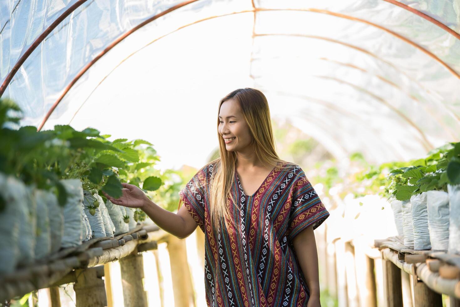 mooie boerenvrouw die aardbeienboerderij controleert foto