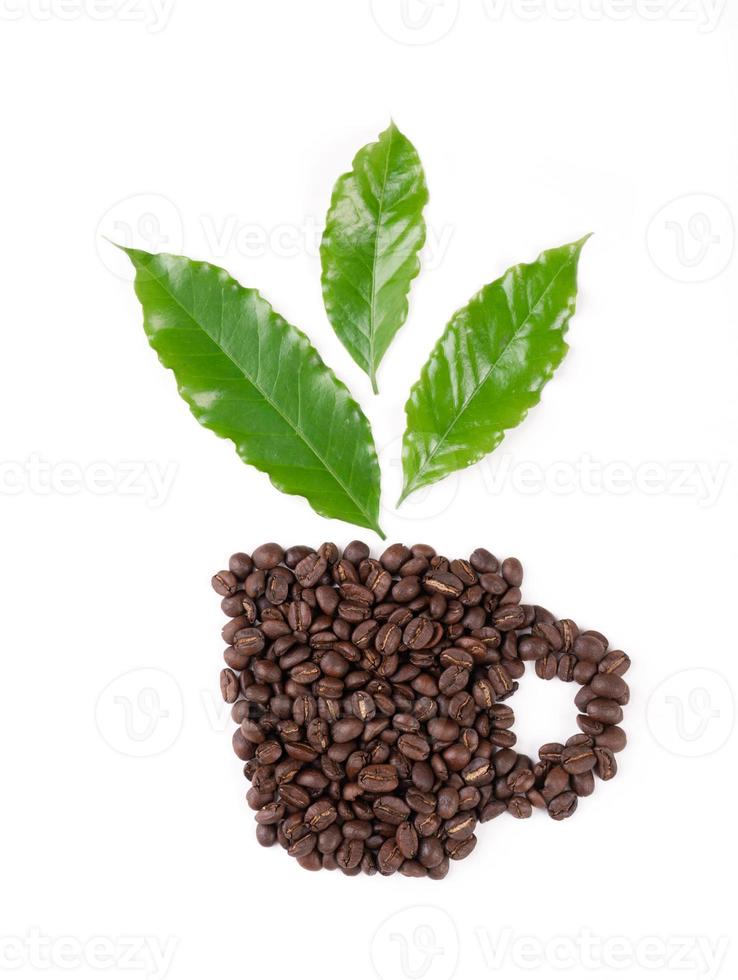 gebrande koffieboon met verlof op witte achtergrond foto