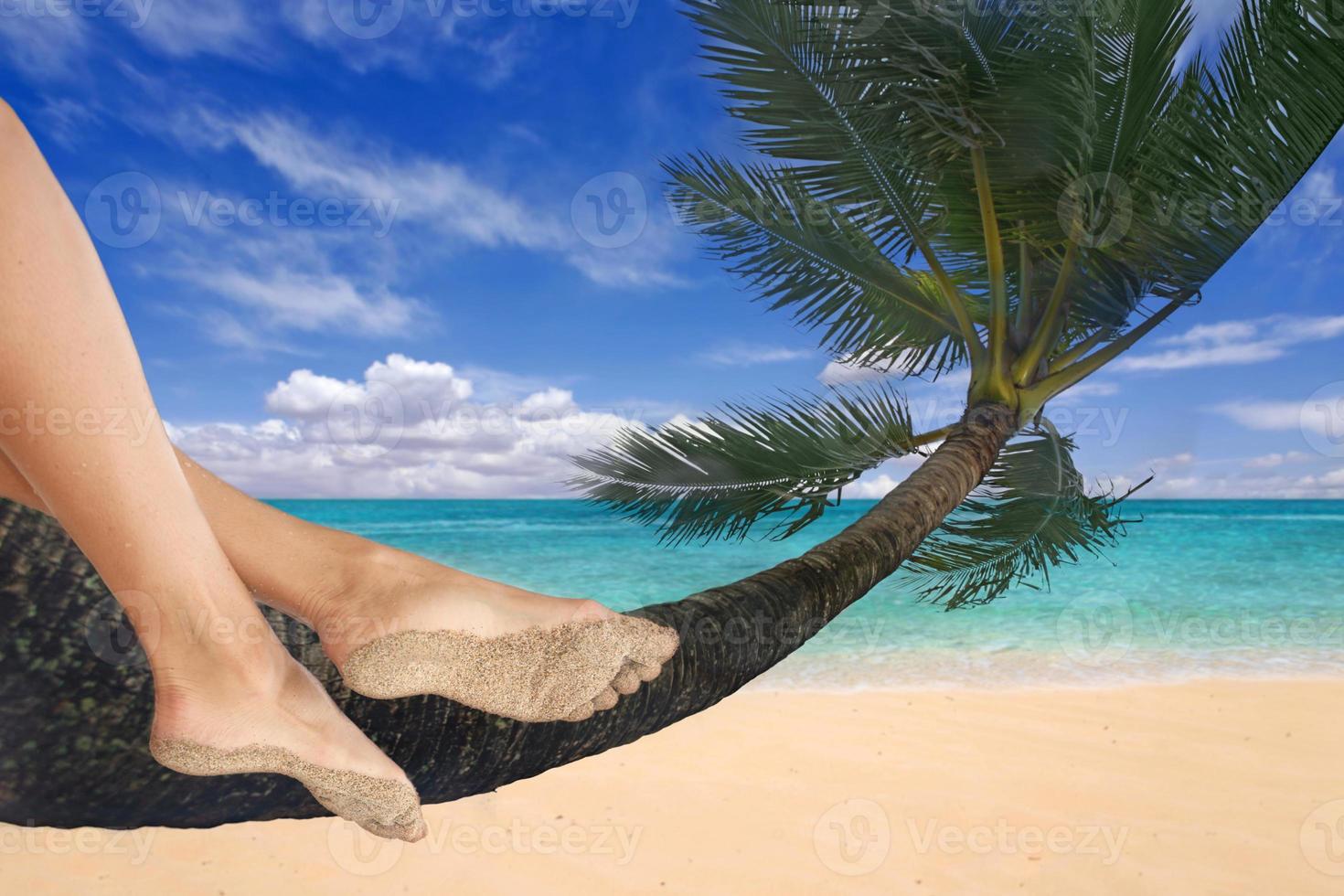 meisje bungelt haar voeten aan een palmboom foto