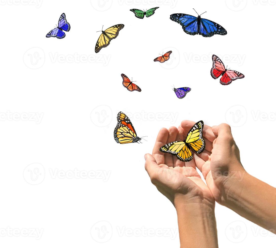 handen die vlinders vrijgeven in lege witte ruimte foto
