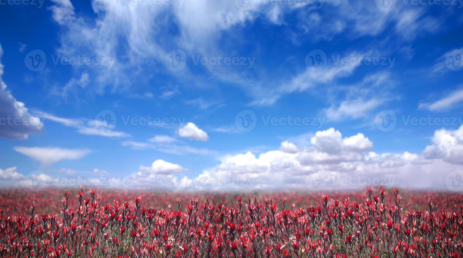 prachtig landschap in amerika foto