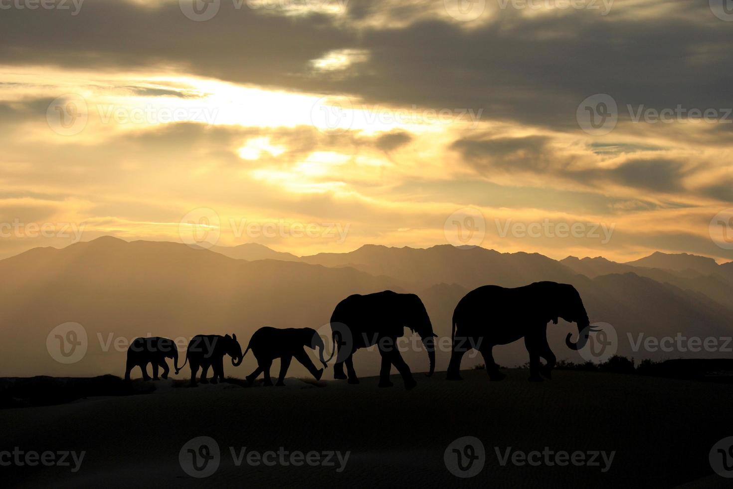 schattige Afrikaanse olifantenfamilie van vijf bij zonsondergang foto