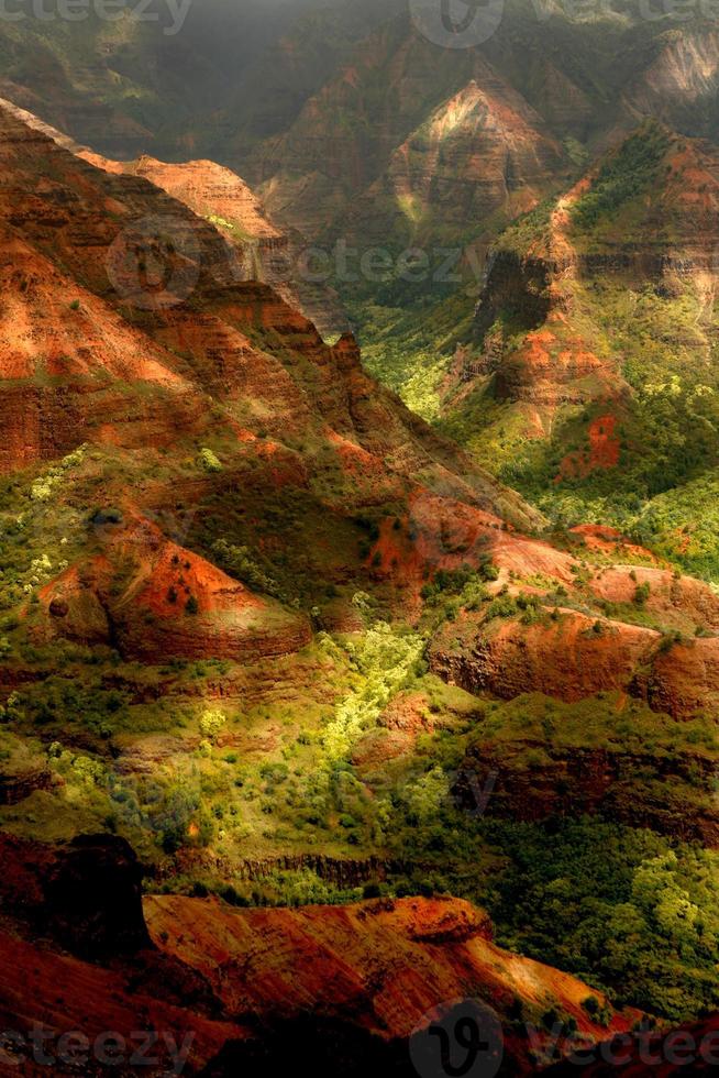 weelderig eiland kauai hawaii waimea canyon foto