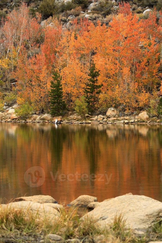 herfstkleuren in de Sierra Mountains, Californië foto