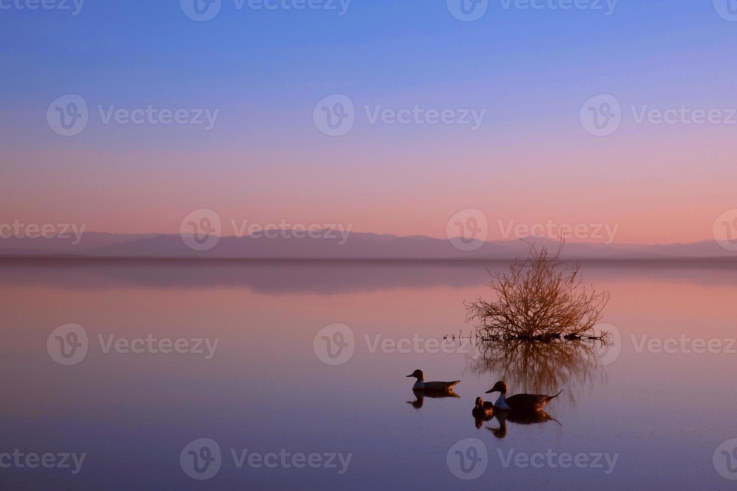 kalme serene scène aan de kalme Salton Sea foto