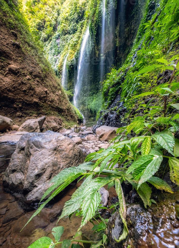 majestueuze Madakaripura-waterval die op een rotsachtige klif stroomt foto