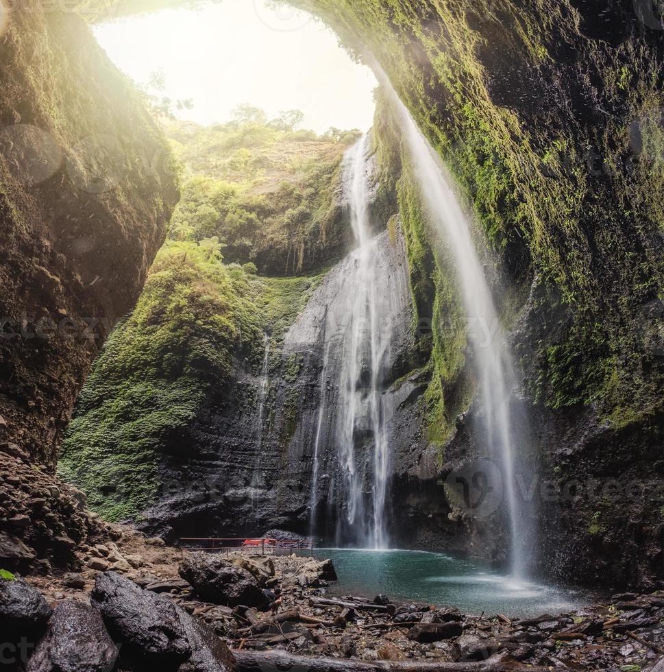 majestueuze Madakaripura-waterval die in tropisch regenwoud stroomt foto