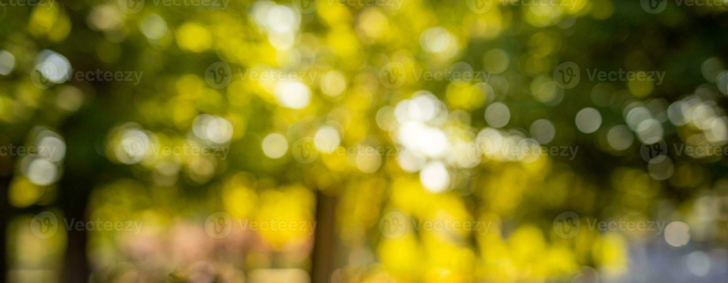 abstract wazig natuurlijk achtergrond, onscherp licht van natuur schitteren voor ontwerp elementen foto