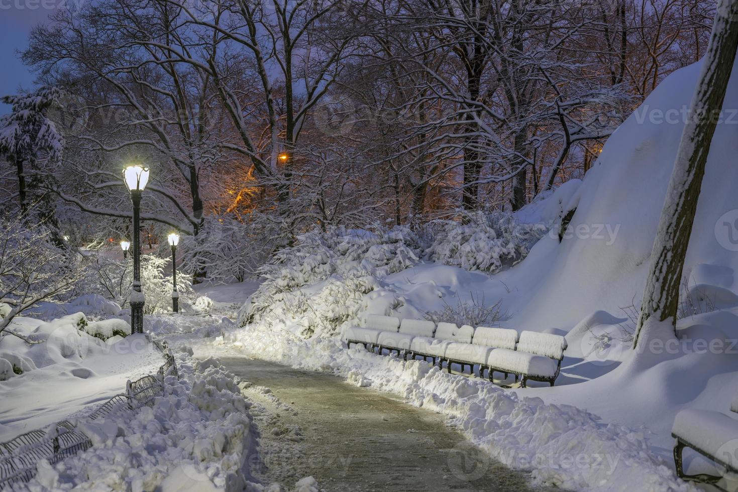 central park in de winter na sneeuwstorm foto