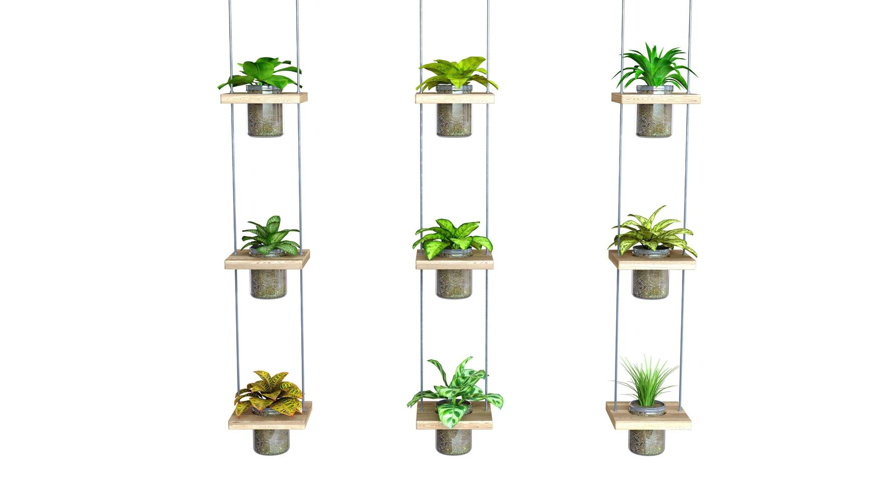 hangplant 3D-rendering foto