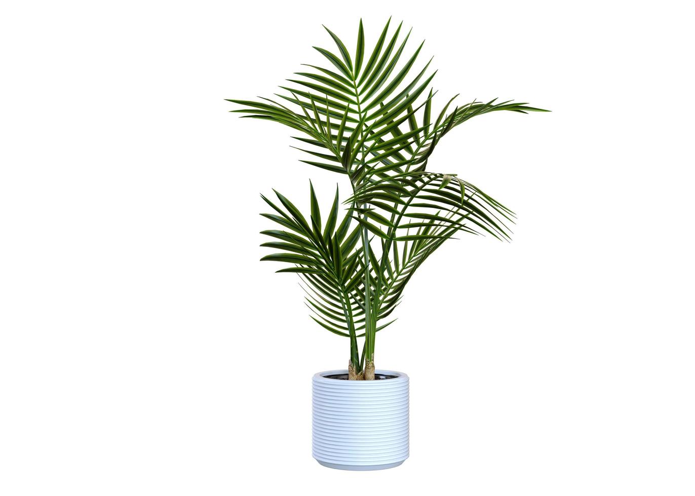 plant in een witte pot 3D-rendering foto