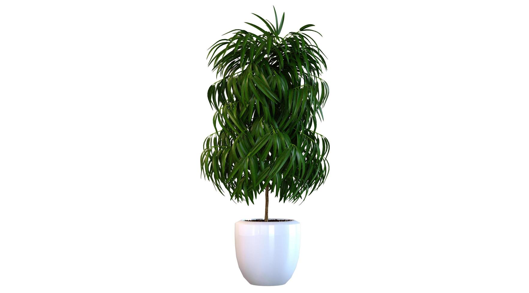 plant 3D-rendering foto