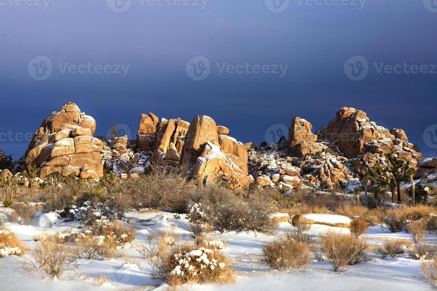 besneeuwd landschap in joshua tree nationaal park foto